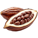 Cacao