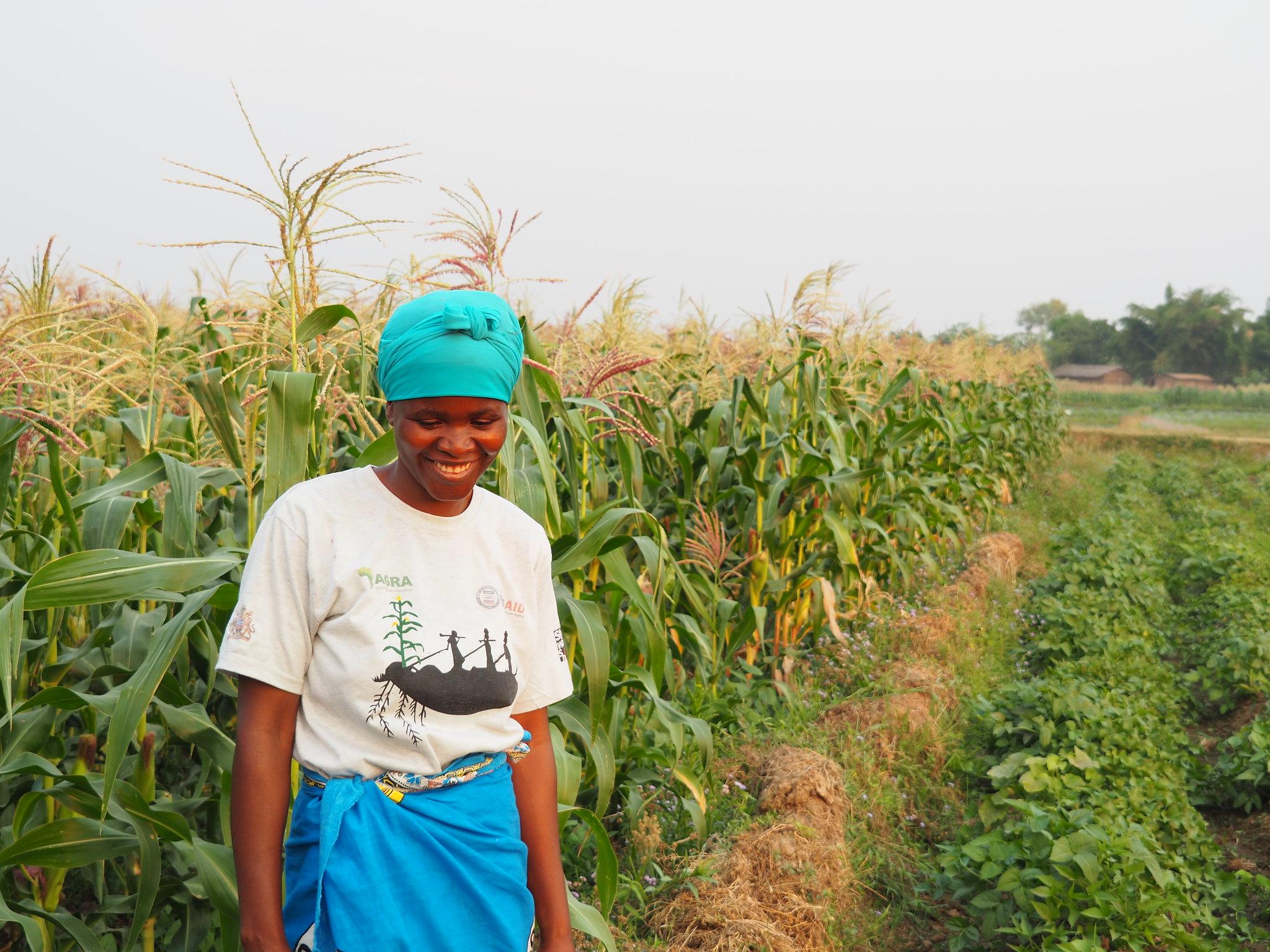 Women Farmer in Maize Field (Credit: sicrump / CC BY 2.0 DEED Attribution 2.0 Generic)