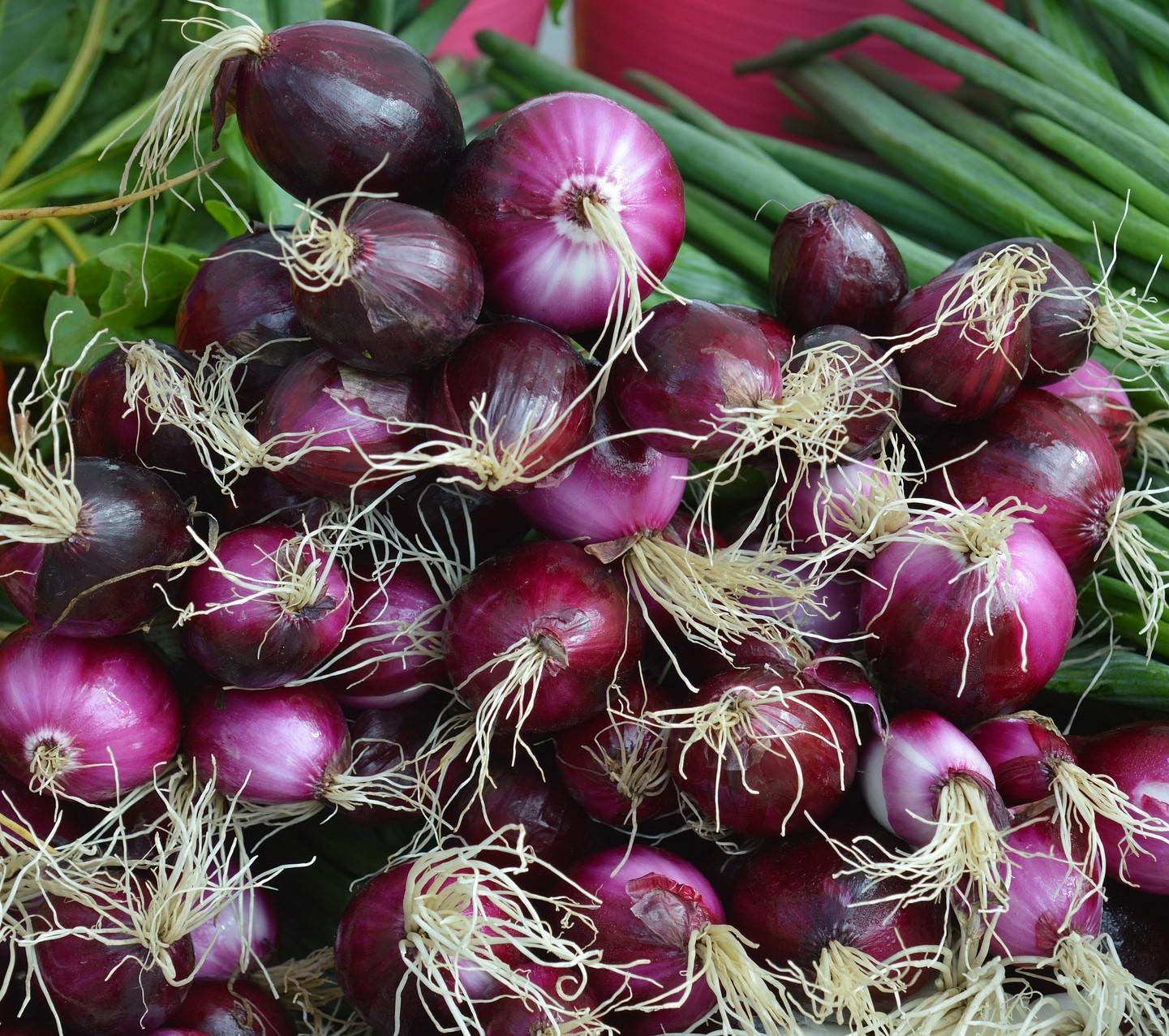 Fresh Red Shallots (public domain)