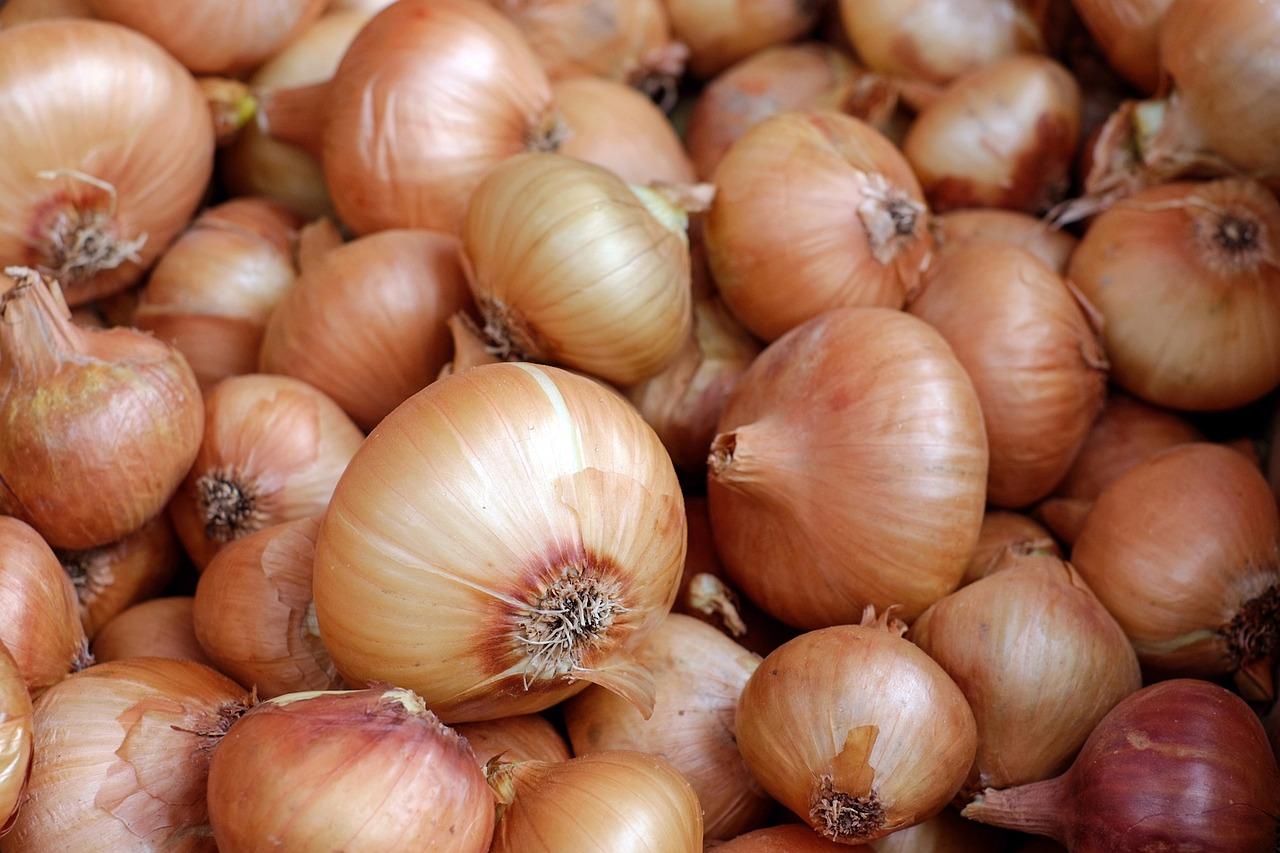 Onions (public domain)