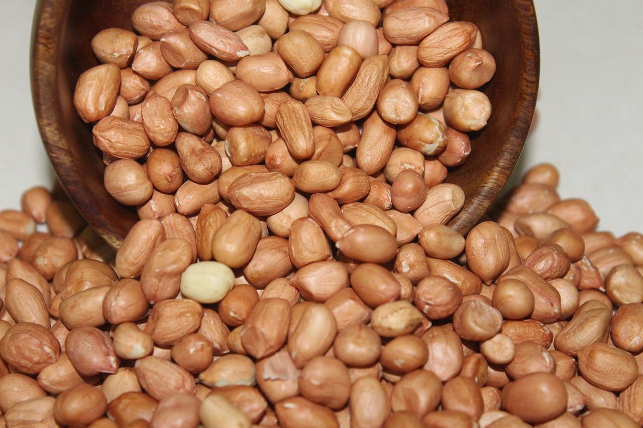 Shelled peanuts (public domain)