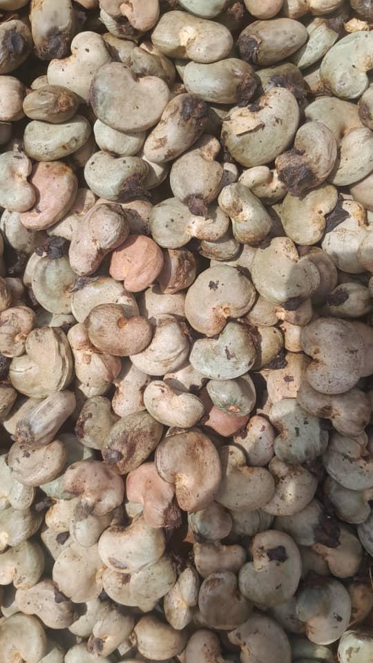 Raw Cashew Nuts (Adalidda / public domain)