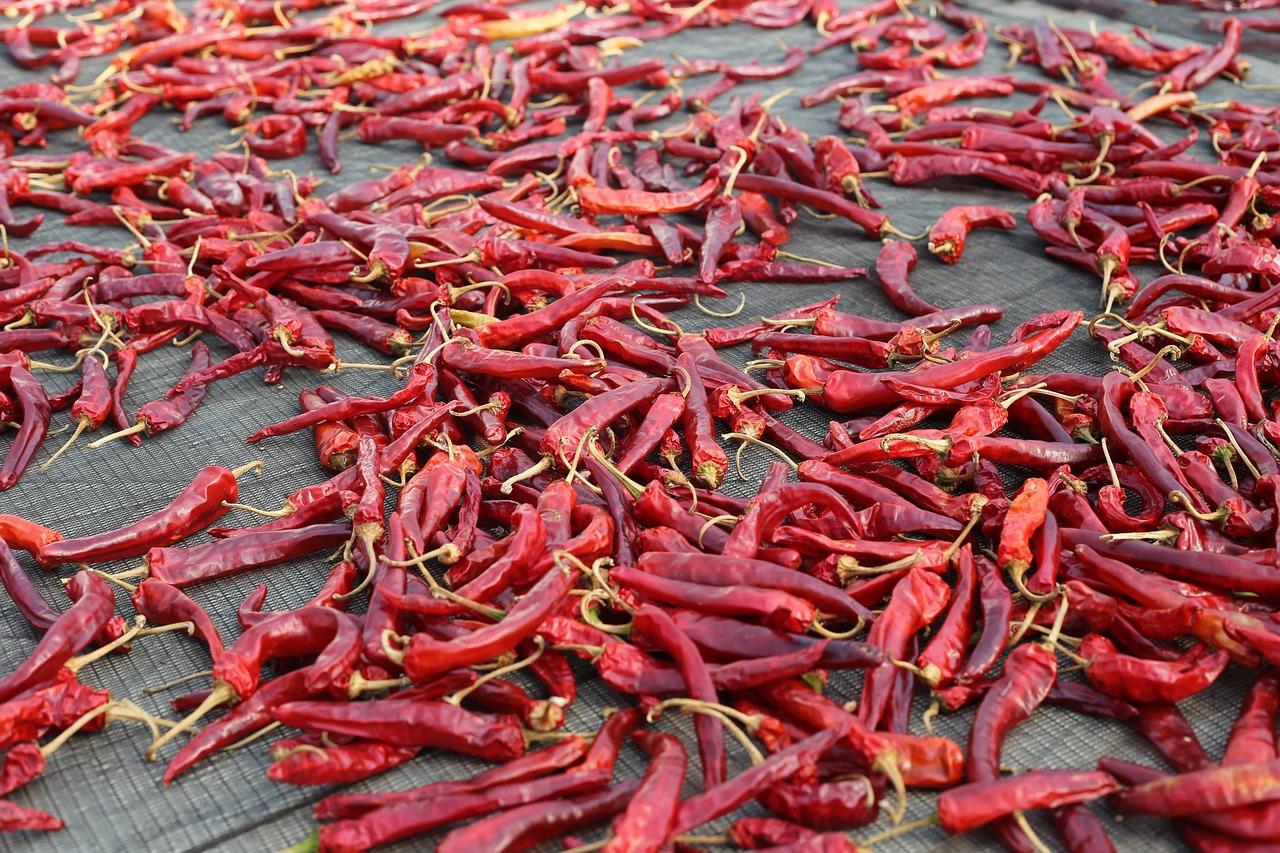 Chiles secados al sol (dominio público)