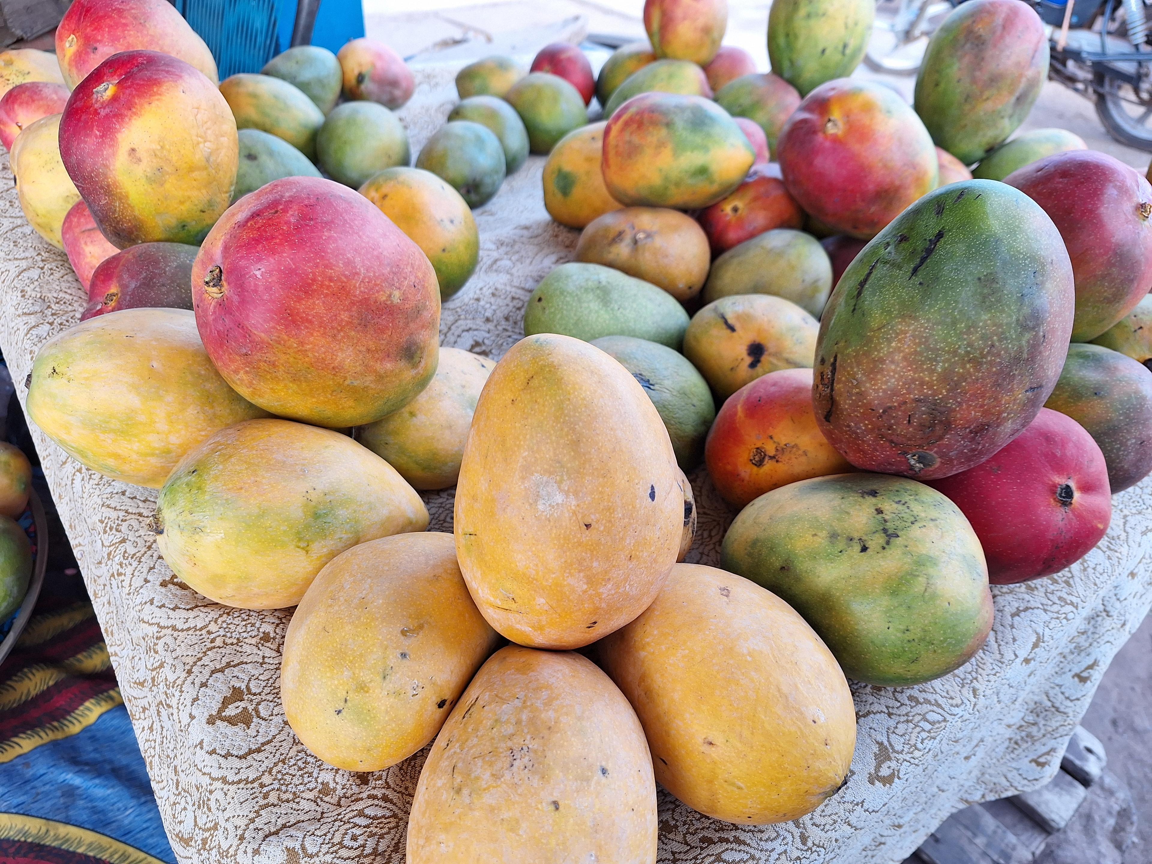 Mangos de Malí (Sahel Agri-Sol / dominio público)