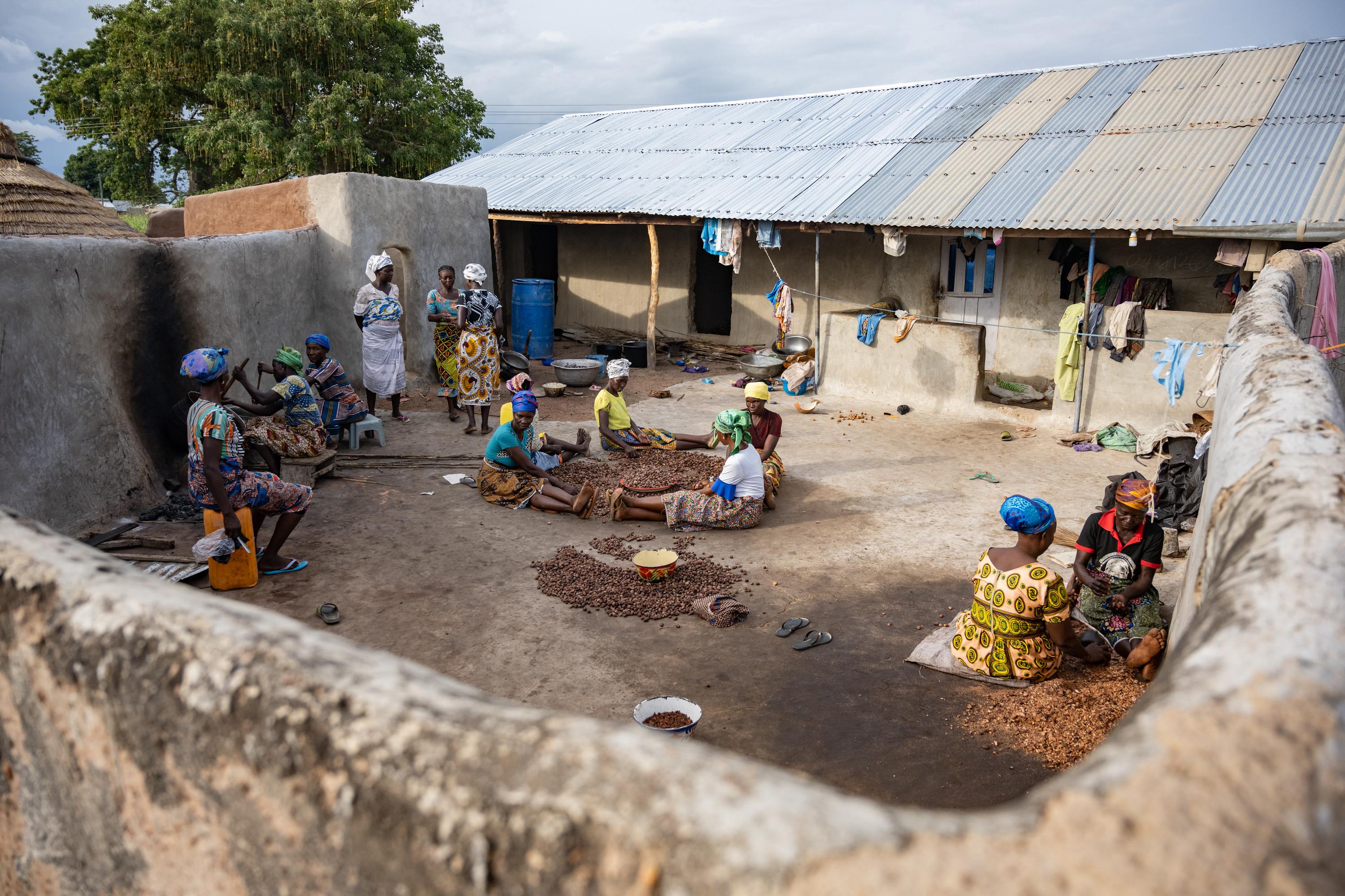 Photo d’illustration :  Le reverdissement de l’Afrique permet de restaurer les écosystèmes dans 8 pays et d’améliorer la résilience de 500 000 ménages en Afrique subsaharienne. L’objectif du reverdissement de l’Afrique au Ghana est de créer une approche durable pour inverser la dégradation des terres et intégrer la production alimentaire par l’agroforesterie. (Kelvin Trautman / CIFOR-ICRAF / Flickr CC BY-NC-ND 2.0)