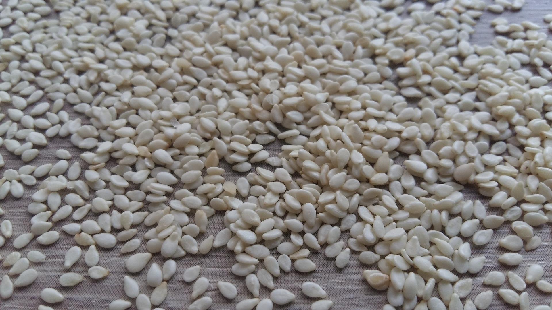 White sesame seeds (public domain)