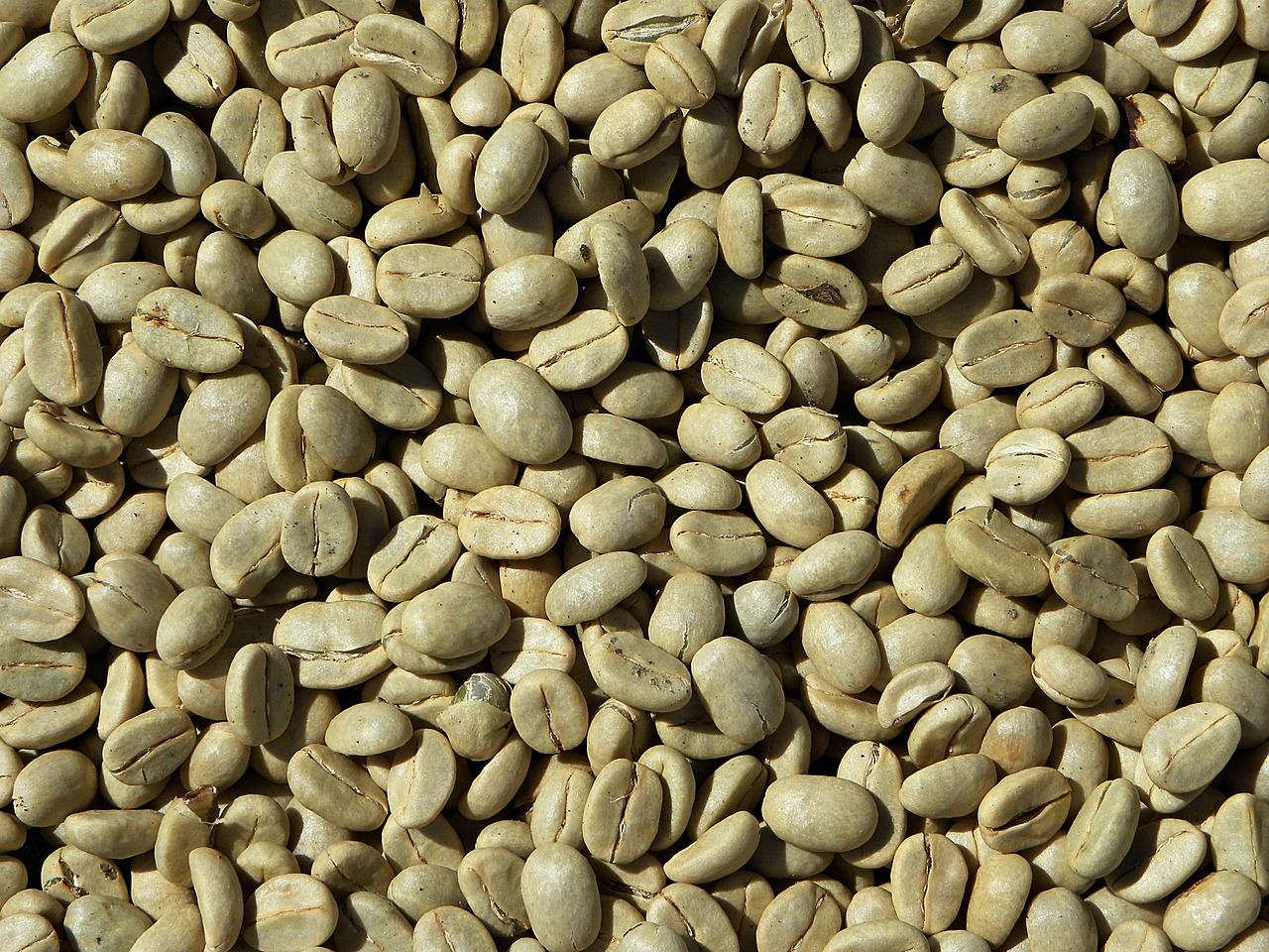 Raw arabica coffee beans (Pixabay / Public domain)