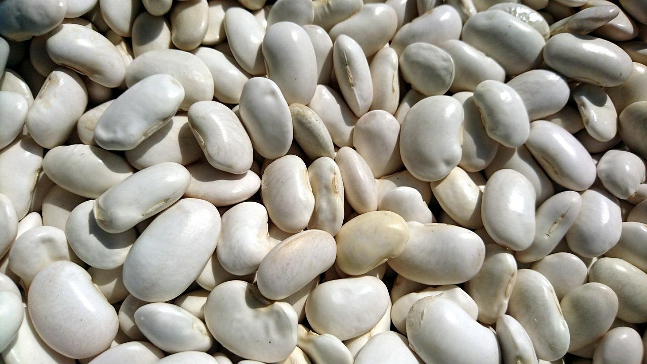 White bean (Adalidda / Public domain)