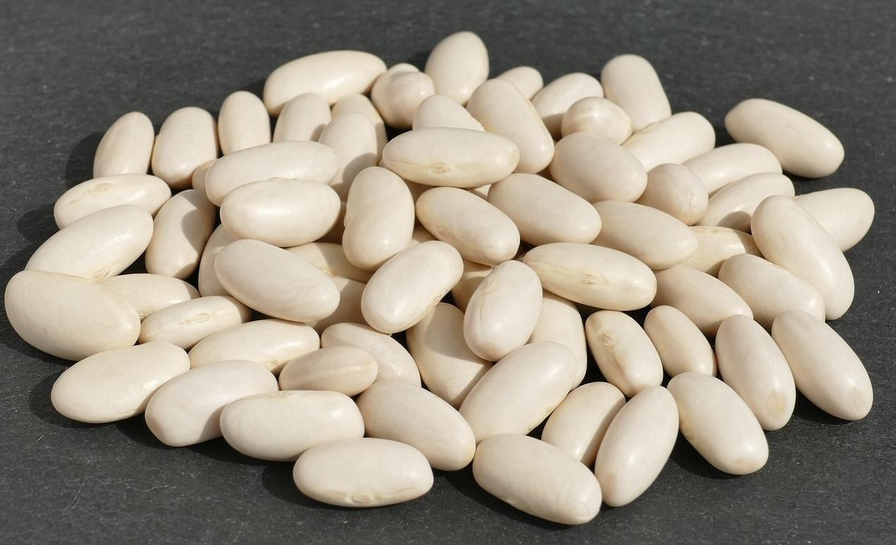 White bean (Adalidda / Public domain)