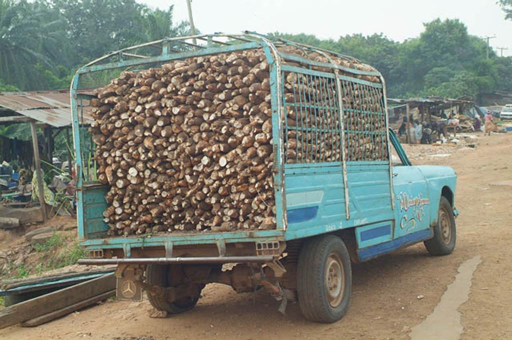 Una camioneta cargada con raíces de yuca llegó al centro de procesamiento de yuca en Ibadan, Nigeria (crédito: IITA / Flickr CC BY-NC 2.0)