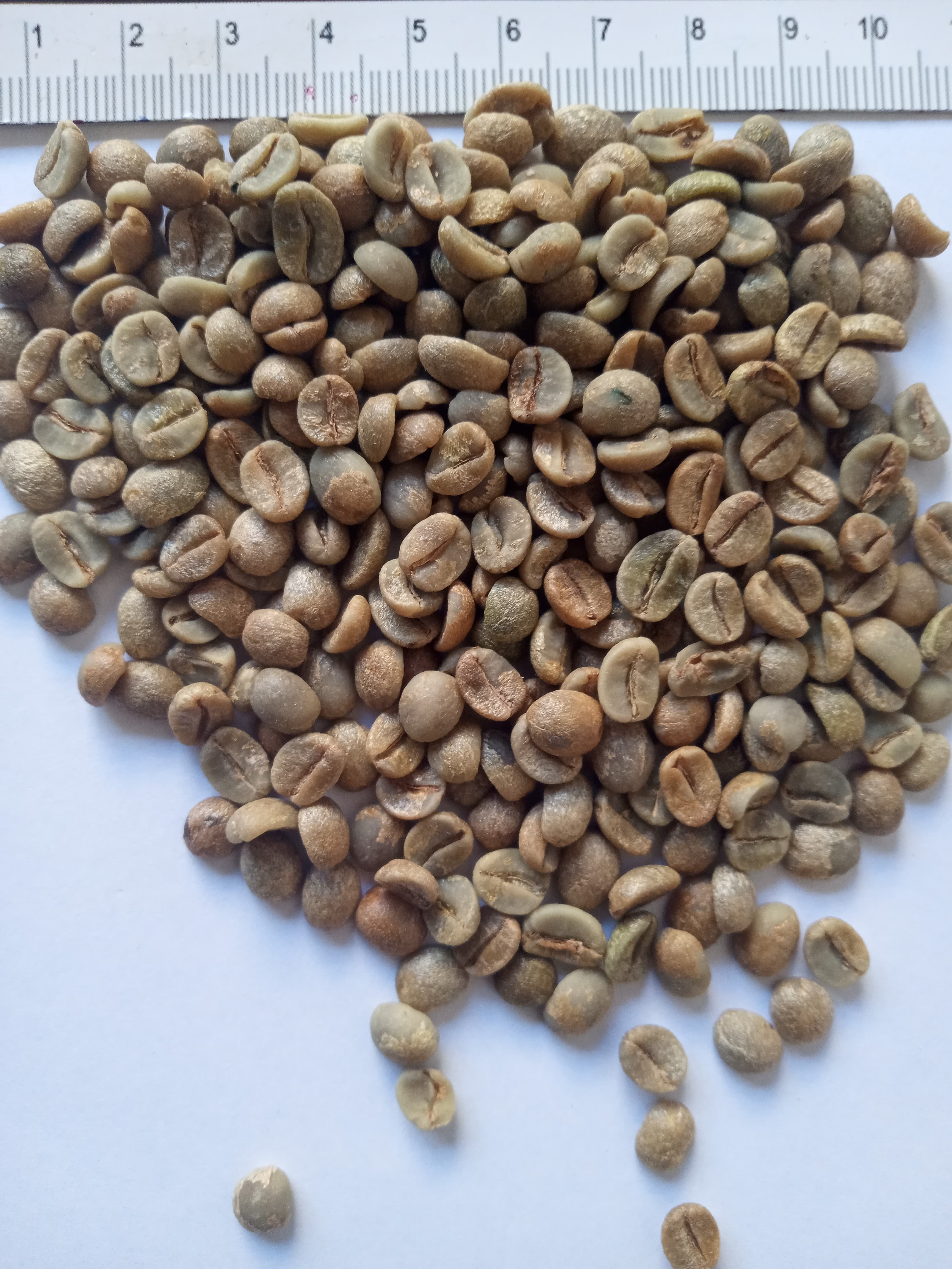 Brasilianischer Arabica 77-90 p (Adalidda / gemeinfrei)