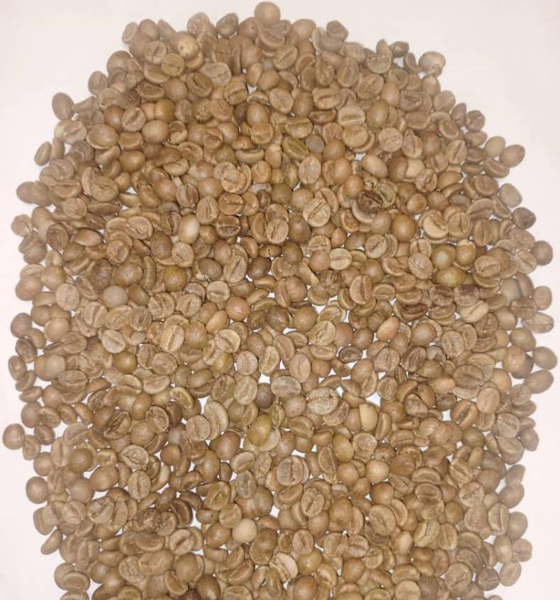 Grains de café arabica (Adalidda / Public domain)