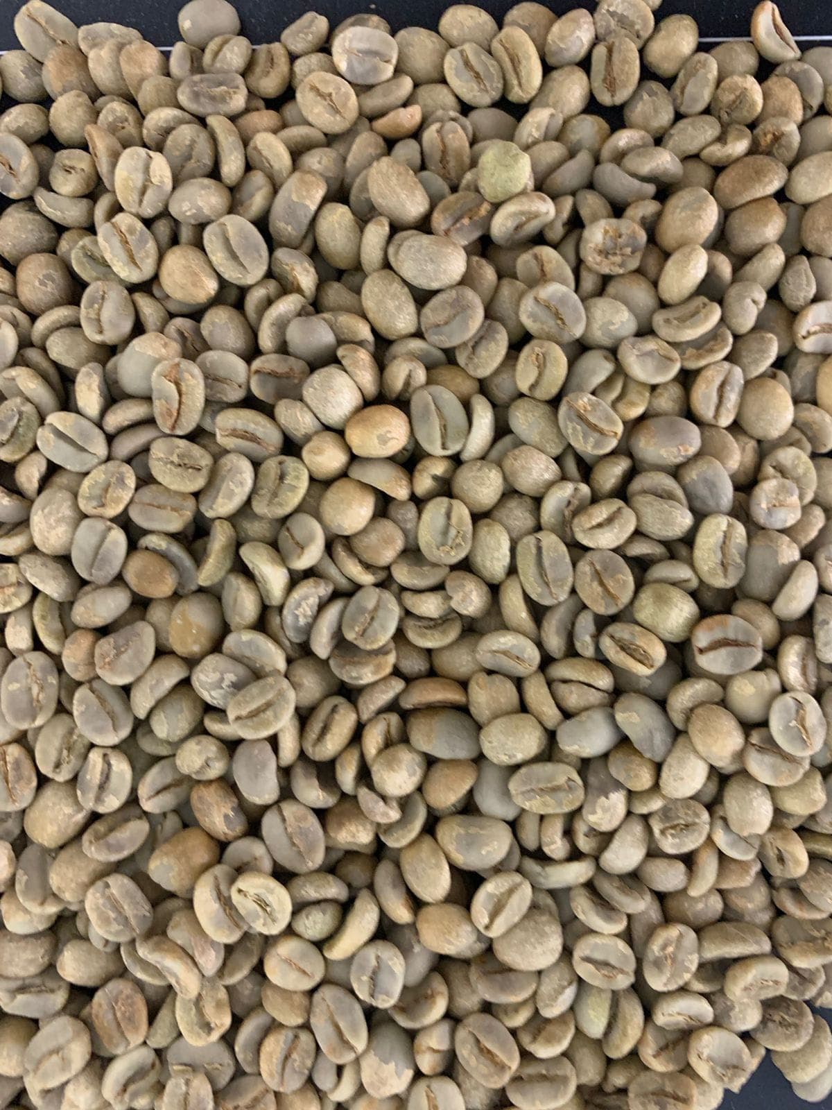 Arabica brésilien (Adalidda / domaine public)