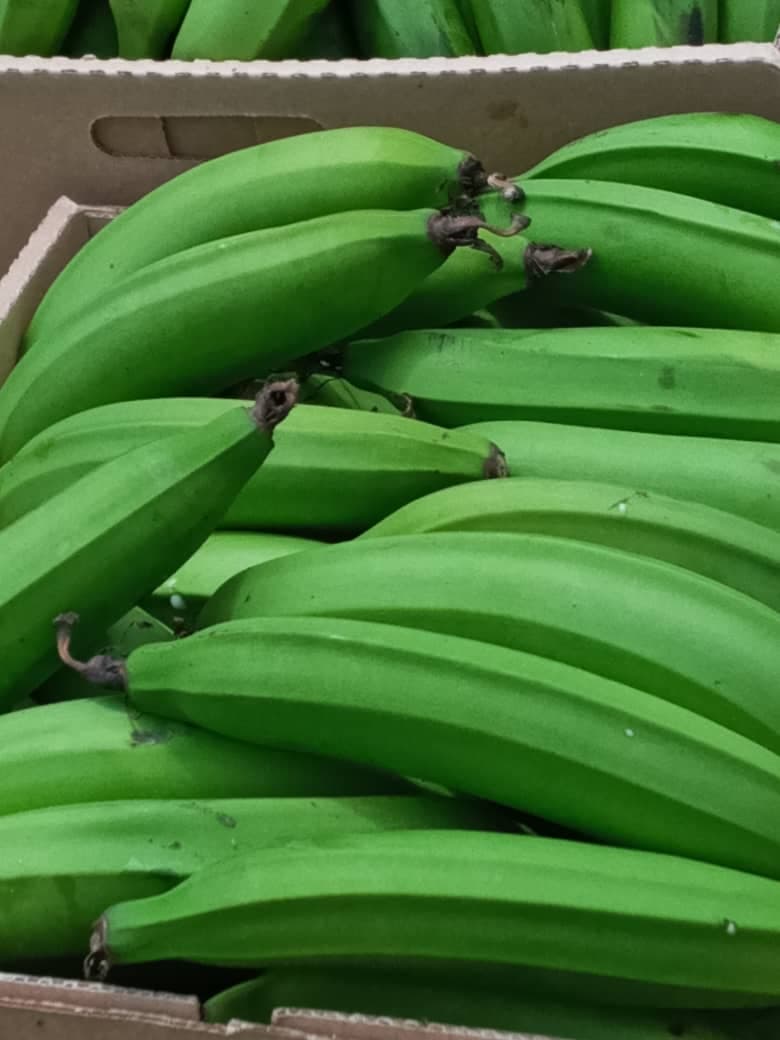 Green Bananas (Adalidda / public domain)