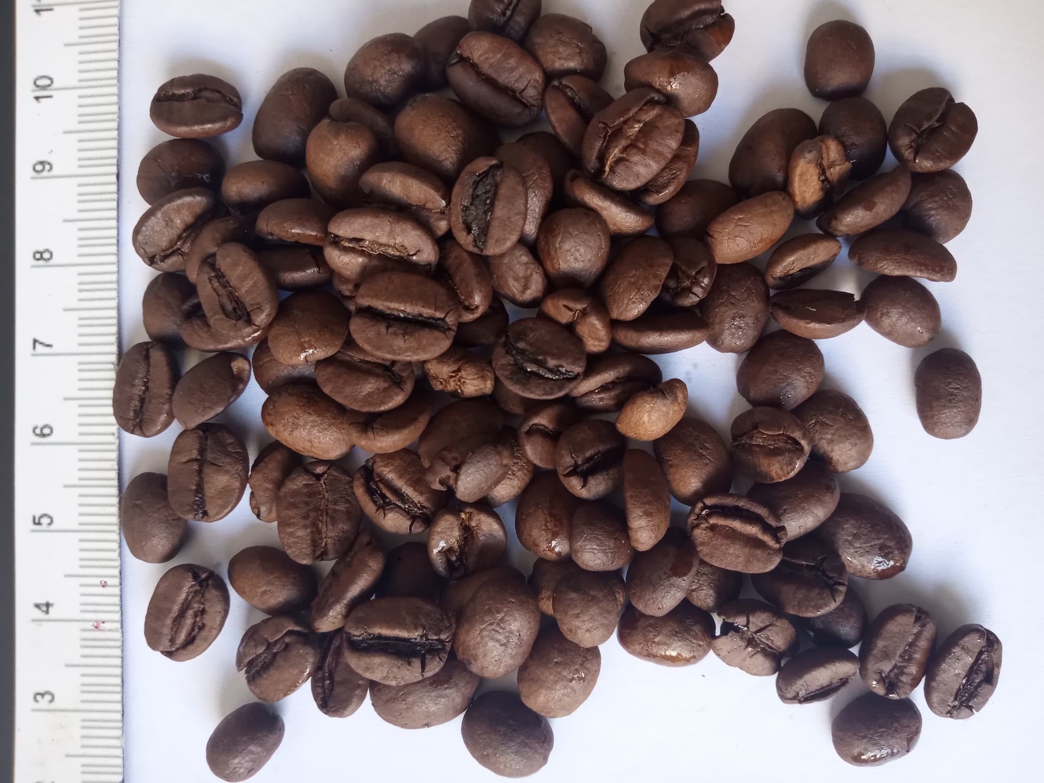 Brazilian Arabica Good Cup, screen 1318, 77-82 points, Middle roasted (Adalidda / public domain)