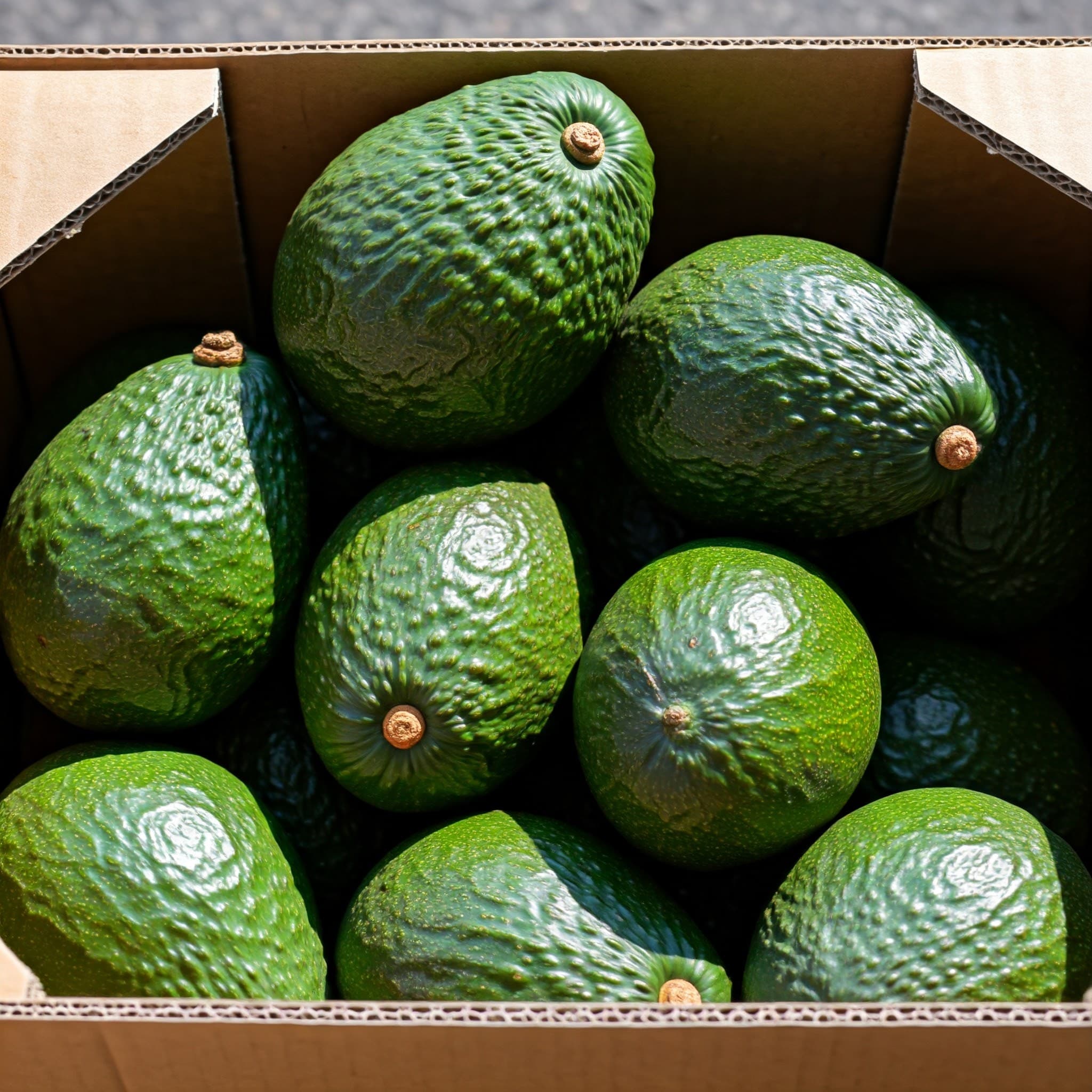 Avocado Freschi (Immagine generata da IA)