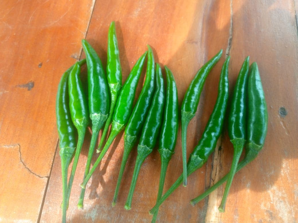 Fresh green chillies (Sahel Agri-Sol / Adalidda / Public Domain)