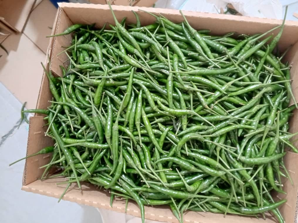 Fresh green chillies (Sahel Agri-Sol / Adalidda / Public Domain)