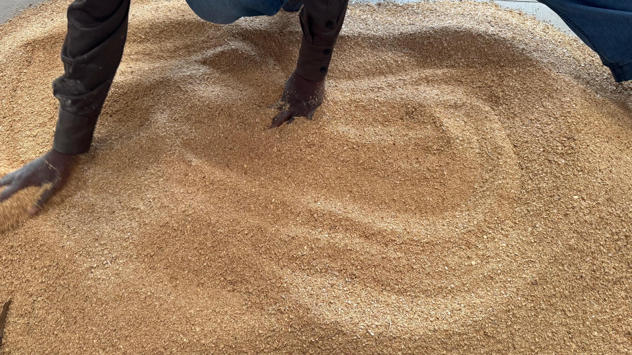 Soya De-Oiled Cake (Sahel Agri-Sol / Adalidda / public domain)