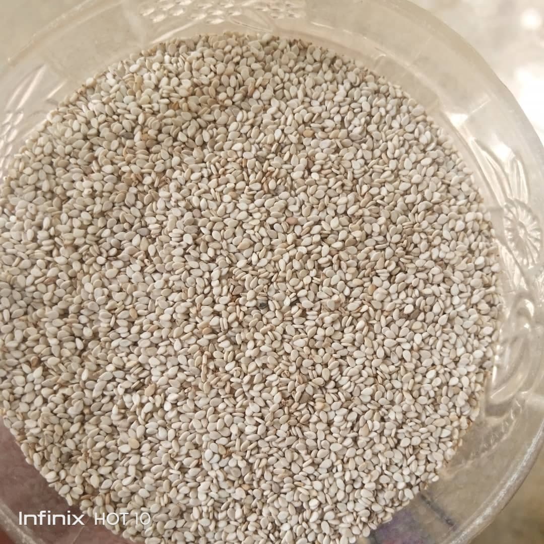 白芝麻（来源：Sahel Agri-Sol / Adalidda / 公共领域）