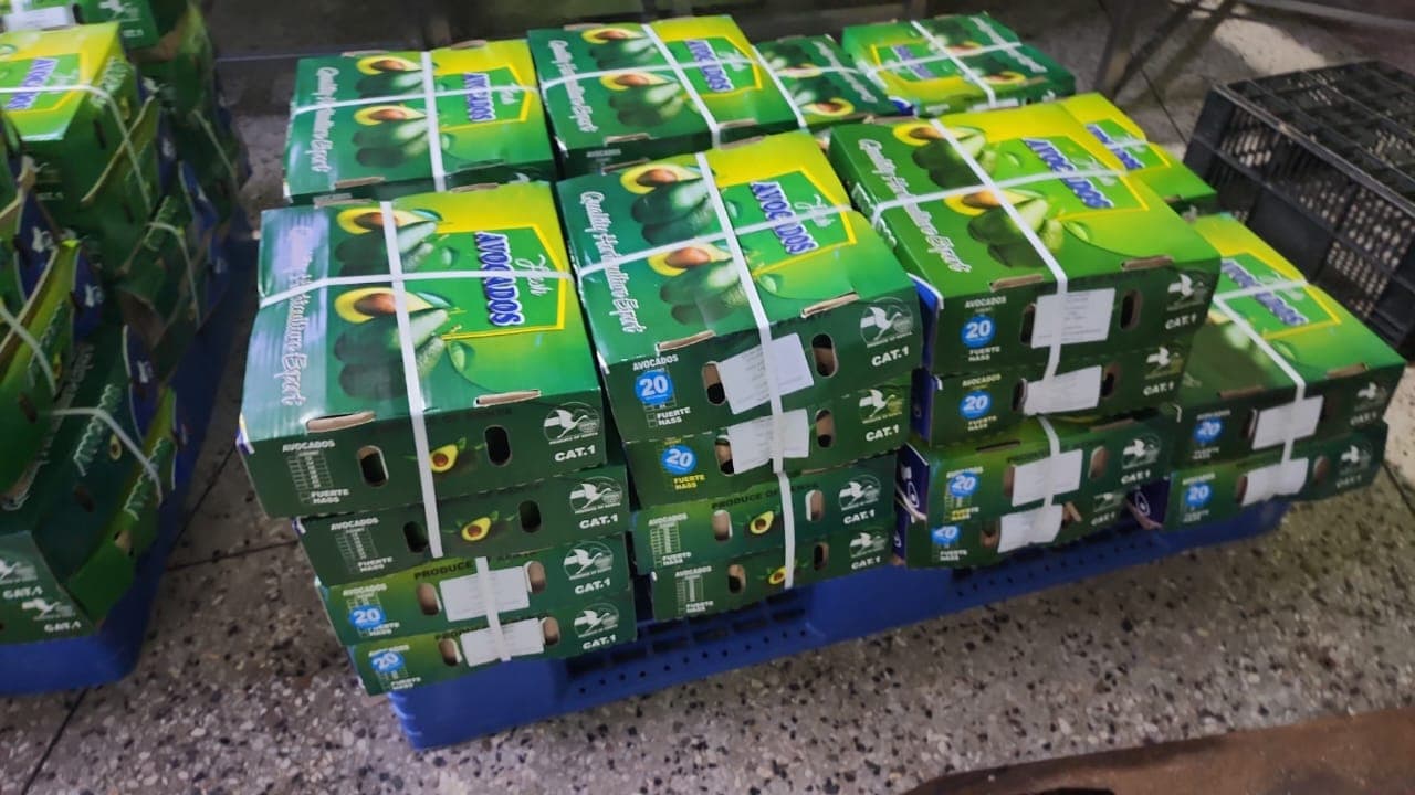 Boxes of avocados ready to be shipped by air cargo (Credit: Adalidda / Sahel Agri-Sol / Public Domain)