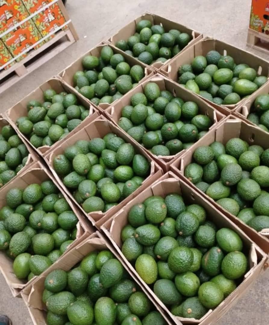 Hass Avocados (Credit: Adalidda / Sahel Agri-Sol / Public Domain)