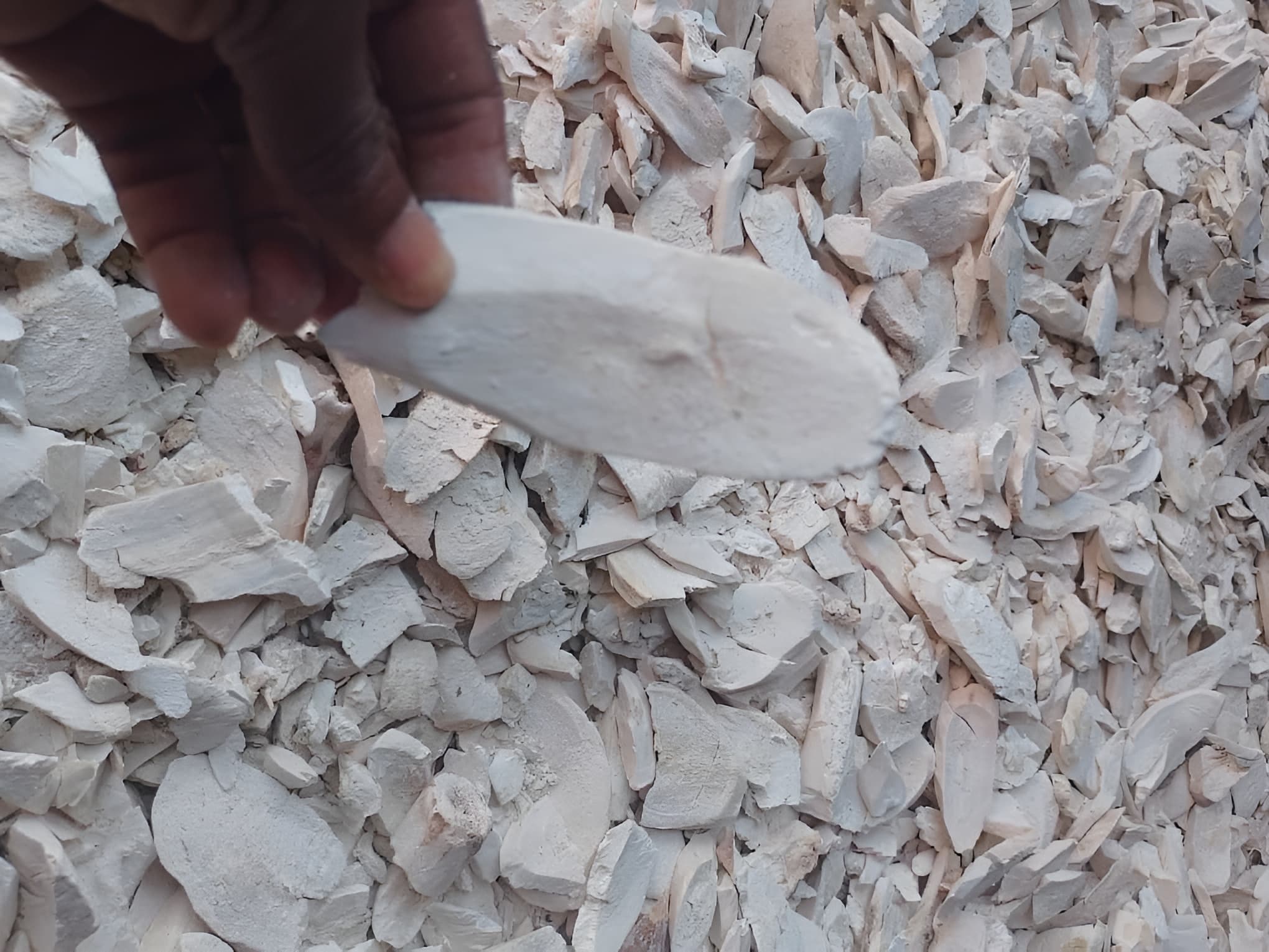 Chips de manioc séchés et épluchés (Deko Group / domaine public).