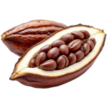 Kakao